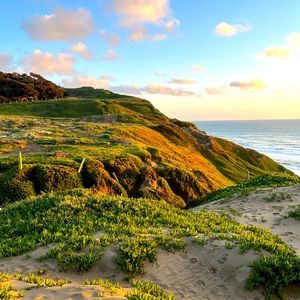 Meet your Posher, Rowan